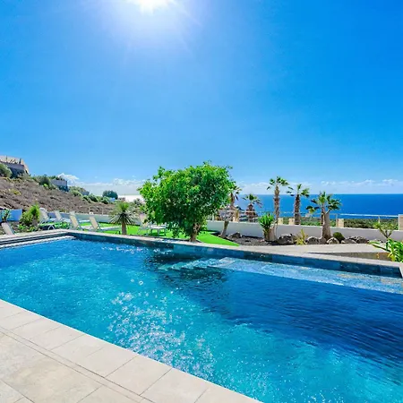 Cactus Tenerife Sud Piscine Chauffée 10 Personnes * Costa Adeje (Tenerife)