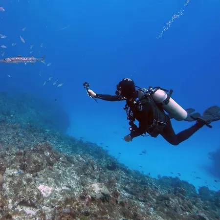 Cactus Tenerife Sud Piscine Chauffee 10 Personnes Villa