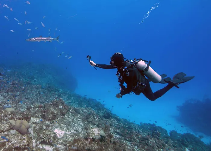 Cactus Tenerife Sud Piscine Chauffee 10 Personnes Villa